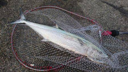 ダブルヘッダー