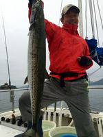 YELLOW-TAIL　イエローテール 釣果