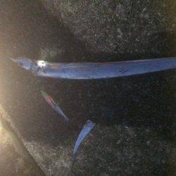 夕まずめねらいでタチウオゲット