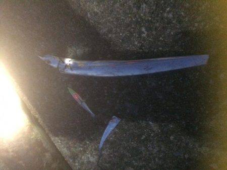 夕まずめねらいでタチウオゲット