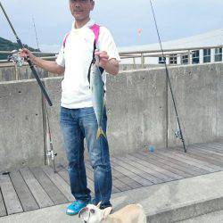 ルアーでハマチ