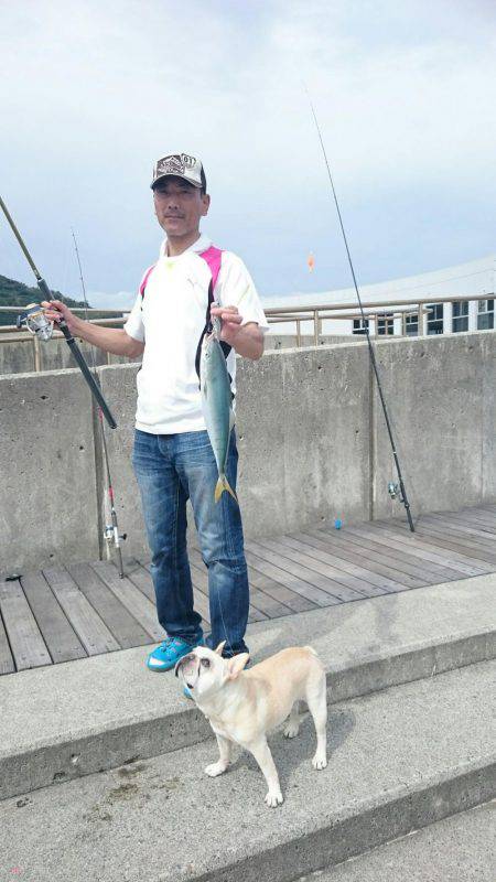 ルアーでハマチ