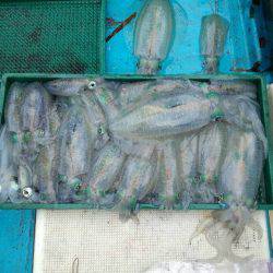 友人の船でティップラン