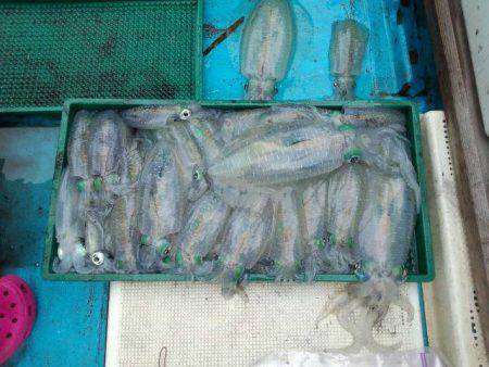 友人の船でティップラン