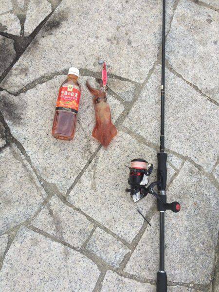 いつもヤエンですがエギング釣行