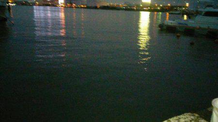 アジ、イワシGET!!