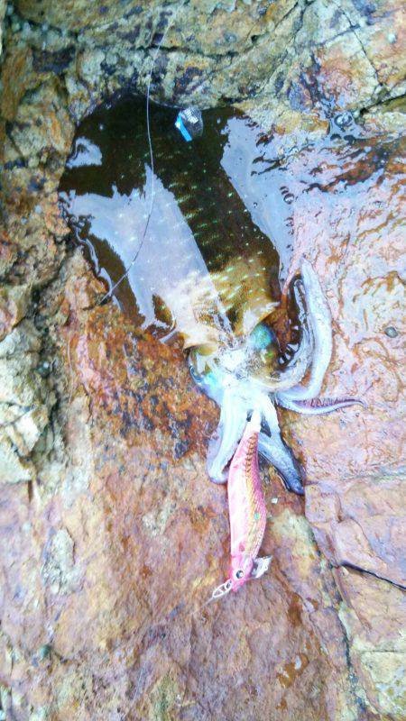 シーズン終盤？