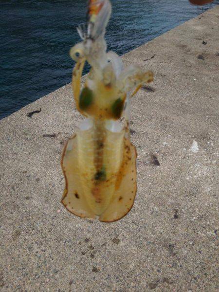 もうスレてました。