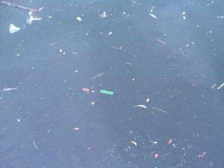 雨上がりにタチウオ釣れるか！？