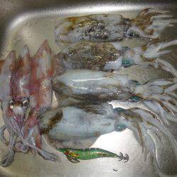 激渋からの・・・