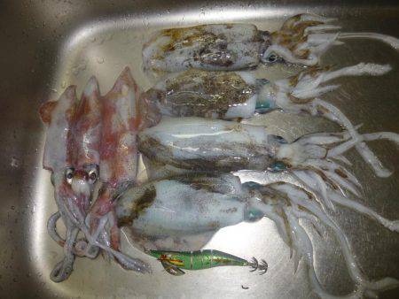 激渋からの・・・