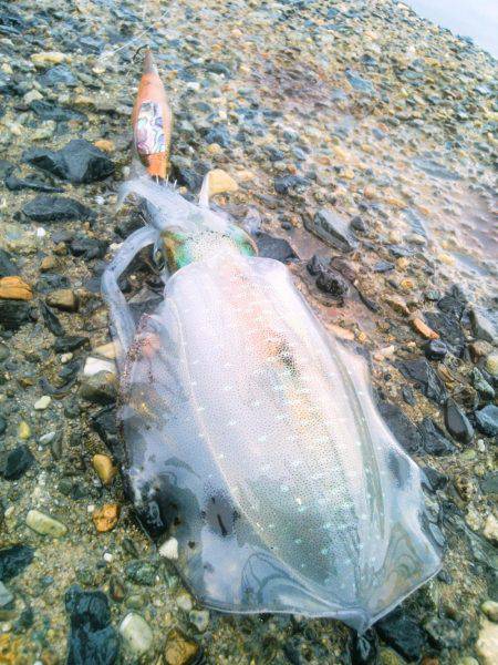 ポイントによってこんなにも･・