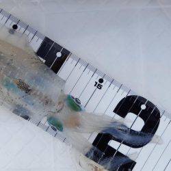 マイボートエギング釣行