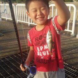 南港魚釣公園にてファミリーフィッシング