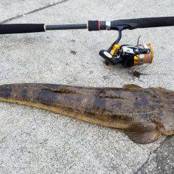 エギングのはずが…