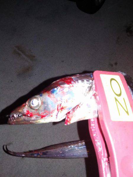 今日も渋かった！