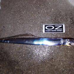 台風直後、様子見に来ました。