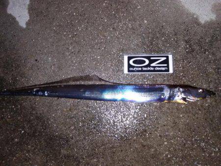 台風直後、様子見に来ました。