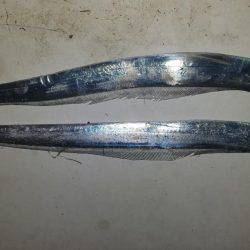 コスモスクエアにてタチウオ