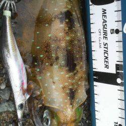 曇りのち雨時々大雨