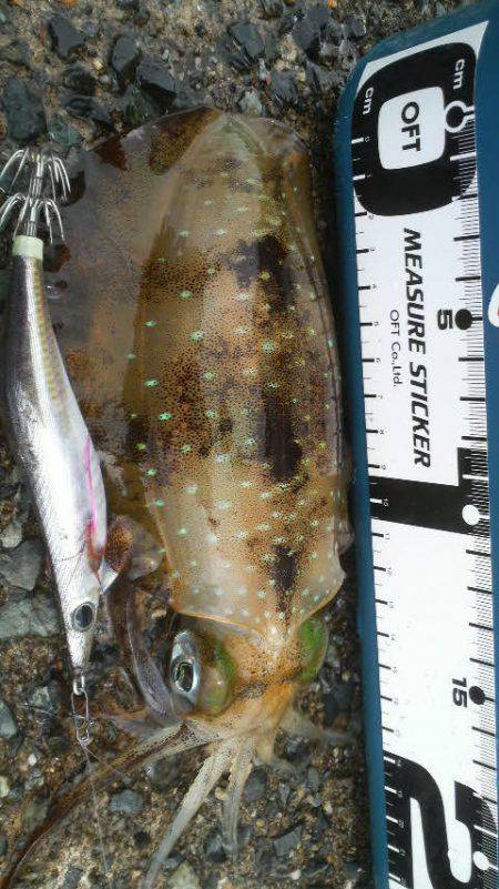 曇りのち雨時々大雨