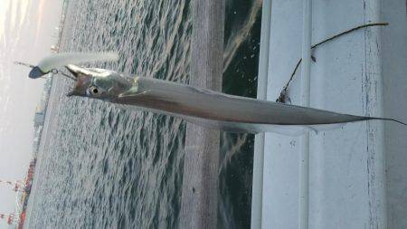 コスモスクエアにてタチウオpart.3