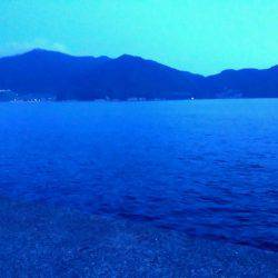 日本海で太刀魚