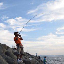 五目スプーンジグでＬＳＪ