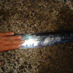 ジグよりワインドよりテンヤ