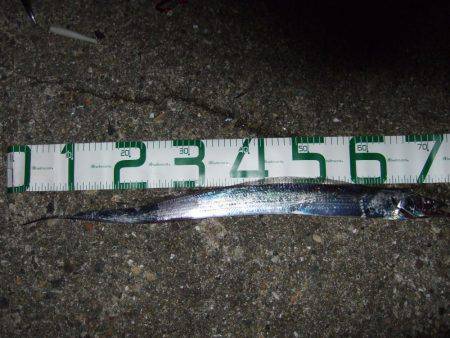 渋い中何とか1本