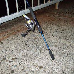 サイズはグッド