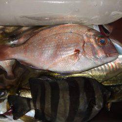 アジ釣り、突然のスコール!