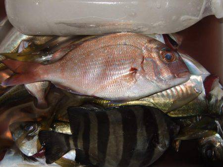 アジ釣り、突然のスコール！