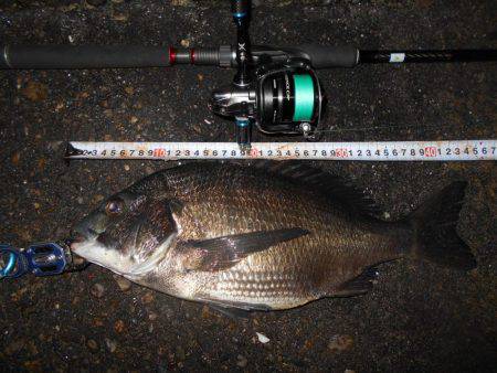 何とかテクトロでチヌ1匹…。