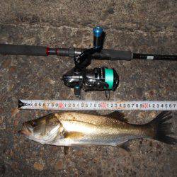 何とかシーバス１匹だけゲット…