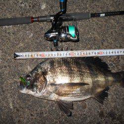 バイブのテクトロでヒット。