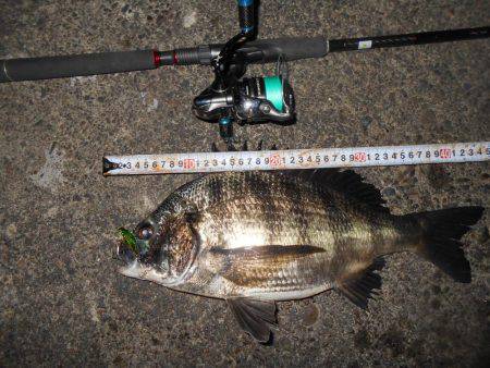 バイブのテクトロでヒット。