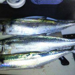 天気予報当たらん