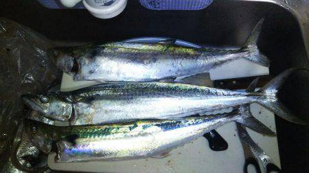 天気予報当たらん