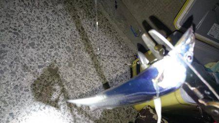 渋かった‼刀狩り