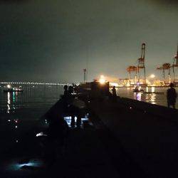 どこに行ったんでしょう？