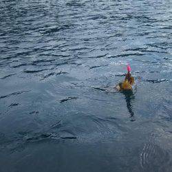 ゴムボートティップラン