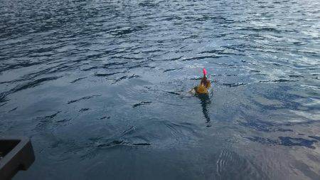 ゴムボートティップラン