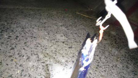 修行!サーベルハント