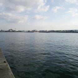 タチウオ何とか１つ