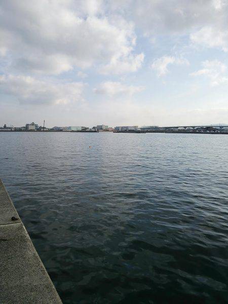 タチウオ何とか１つ