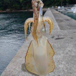 久々の釣行です❤