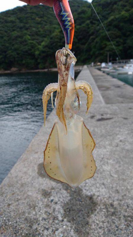 久々の釣行です❤