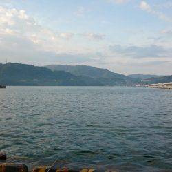 タチウオ修行中