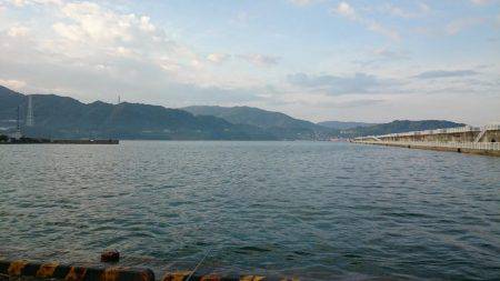 タチウオ修行中